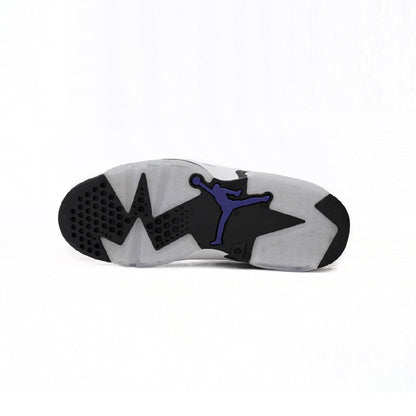Air Jordan 6 Grayish Purple
